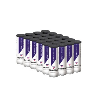 Tecnifibre Tennis Balls Champion Box of 36 x 4-pack in Carton